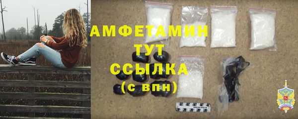 сатива Богданович