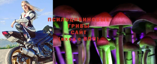 сатива Богданович