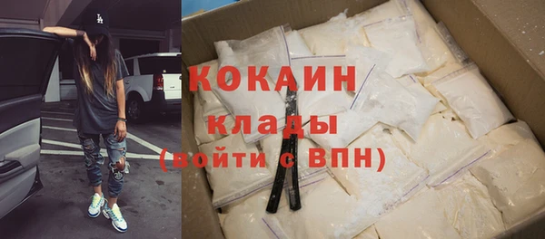 сатива Богданович