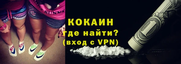 сатива Богданович