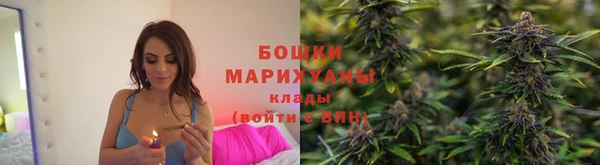 сатива Богданович