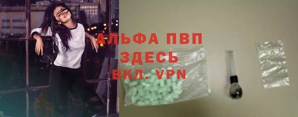 сатива Богданович