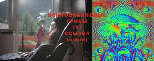 сатива Богданович