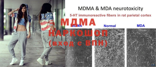 сатива Богданович