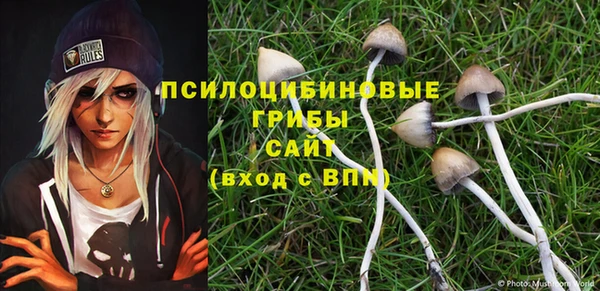 ALPHA PVP Богородск