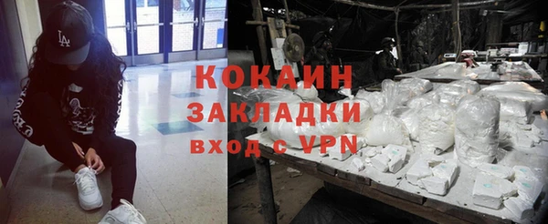 сатива Богданович
