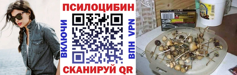 Купить где  Нолинск  Псилоцибиновые грибы Magic Shrooms 